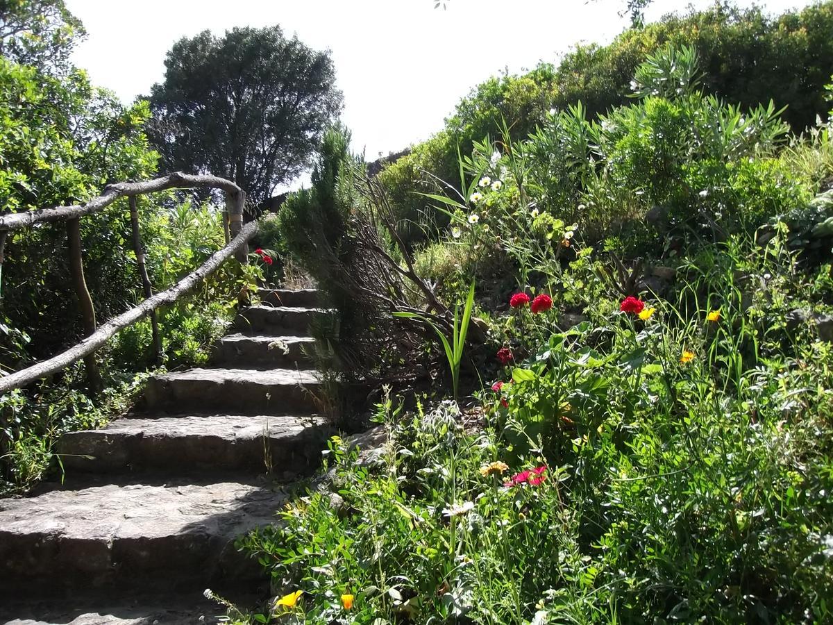 Casa Montecote Eco Resort Vejer de la Frontera Εξωτερικό φωτογραφία